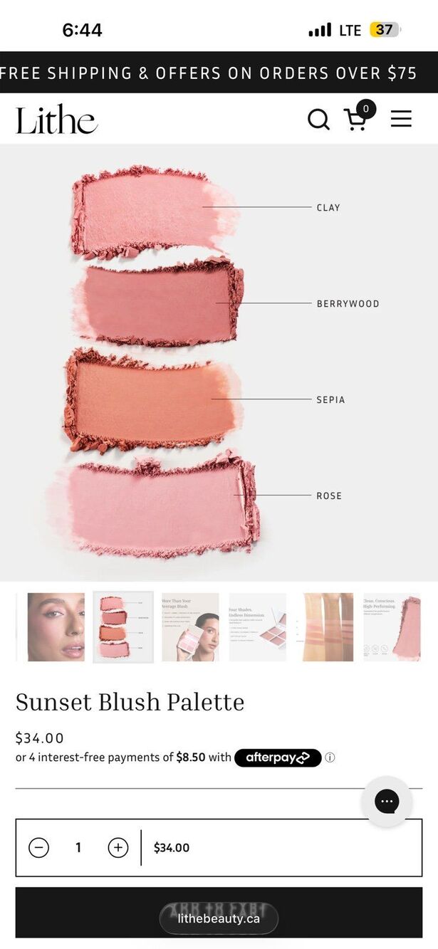 Lithe Blush Pallete - Picture 4 of 6
